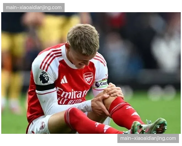 富勒姆边锋马塞多因足部伤势继续缺席 进攻端受损